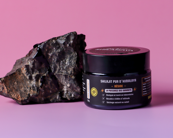 Des montagnes sacrées aux laboratoires : L’évolution du Shilajit